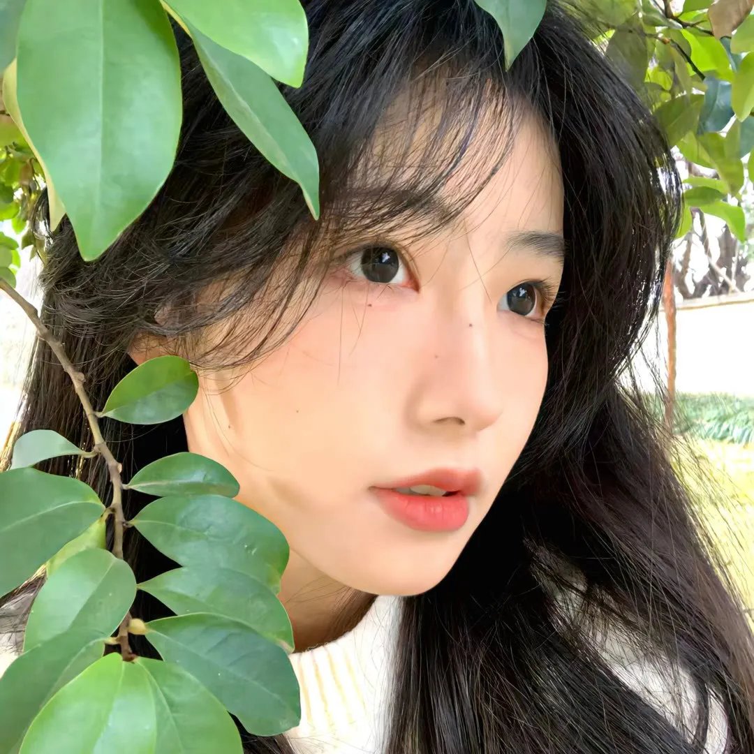 烟花女子哈洛特堕落记